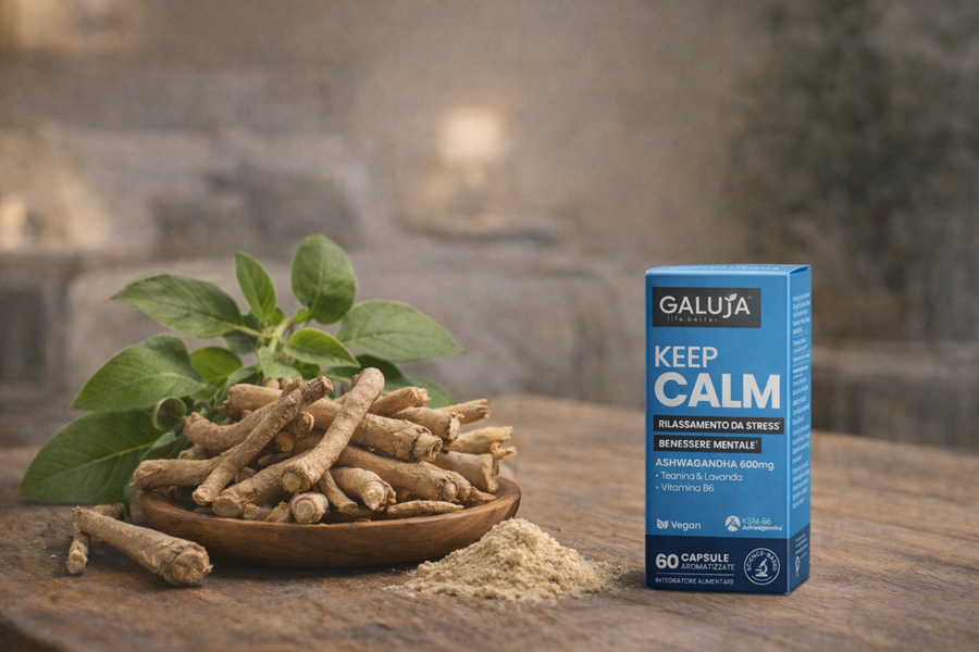 Ashwagandha: cos’è, benefici, controindicazioni e come scegliere l’integratore giusto