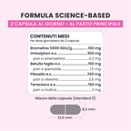 Formula di BODY DRAIN GALUJA con ortosiphon, betulla, bromelina, pilosella e tarassaco.