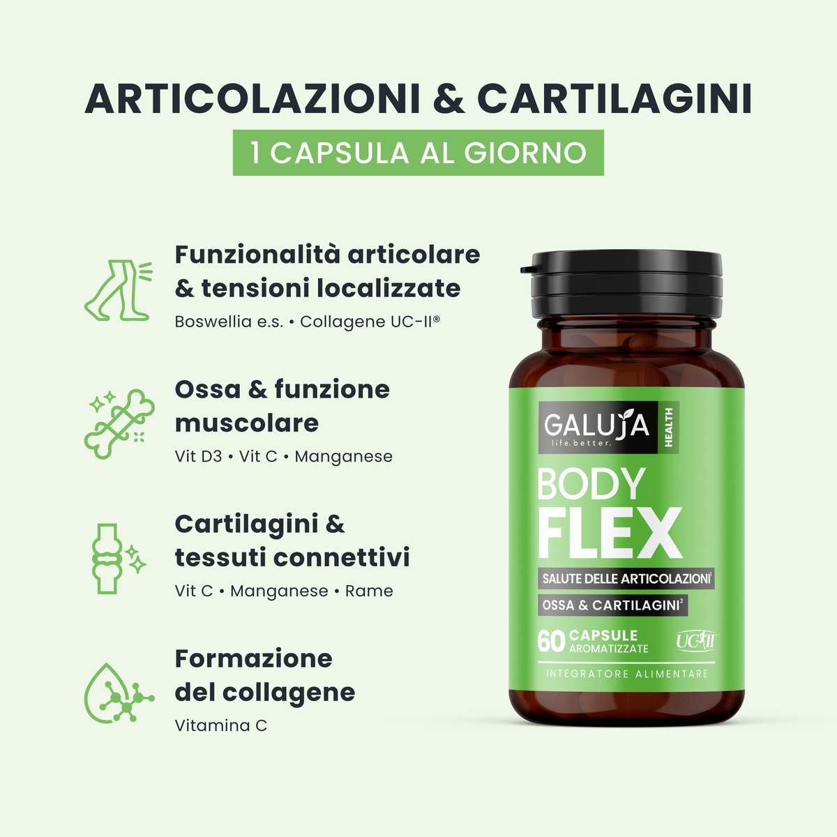 Caratteristiche ed azioni principali di Body Flex
