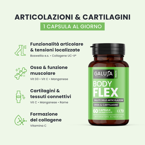 Caratteristiche ed azioni principali di Body Flex
