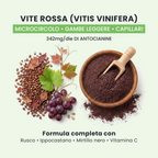 Vite rossa in LIGHT LEGS+ GALUJA, ingrediente per il supporto del microcircolo e delle gambe pesanti.