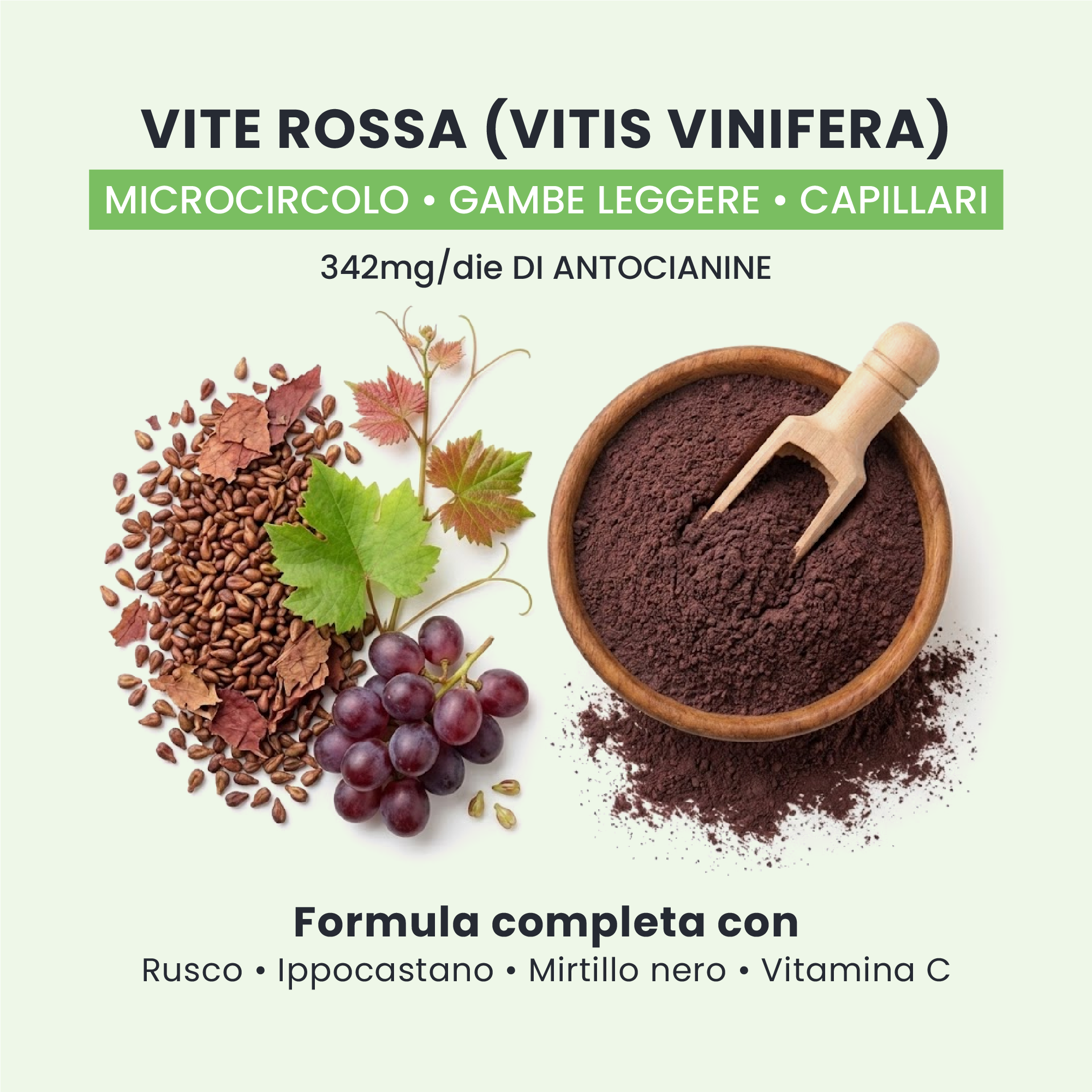 Vite rossa in LIGHT LEGS+ GALUJA, ingrediente per il supporto del microcircolo e delle gambe pesanti.