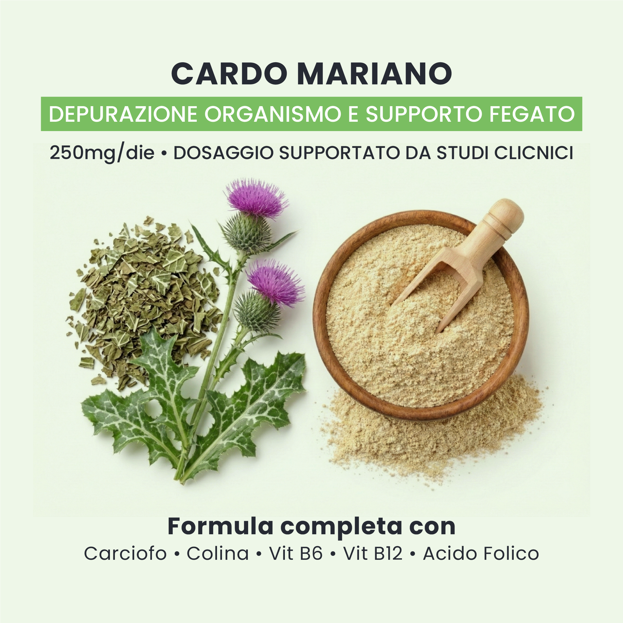 Cardo mariano in PURE DETOX GALUJA, estratto vegetale per la depurazione e il supporto del fegato.